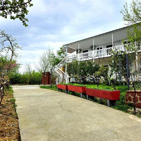 Hilltop Guest House Kutaisi Esterno foto