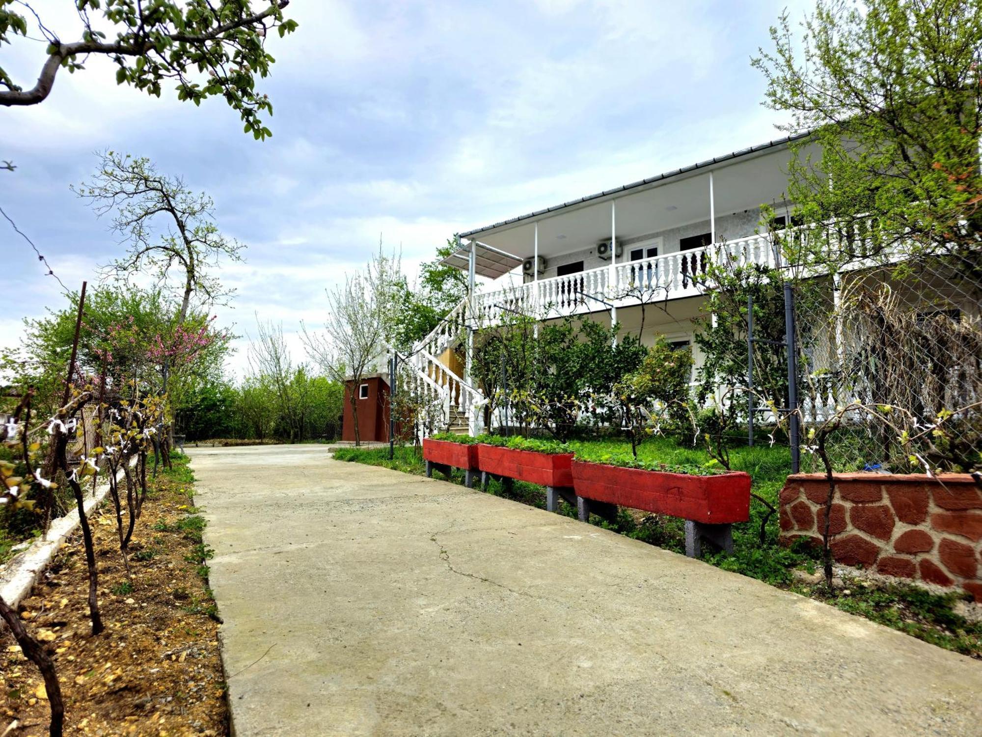 Hilltop Guest House Kutaisi Esterno foto